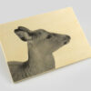 Wood postcard - obrazek 2